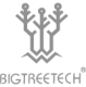 BigTreeTech