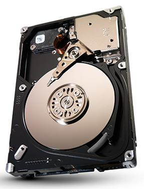 HDD IBM ST9300653SS