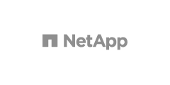 Сетевая карта NetApp CX5 25G A400