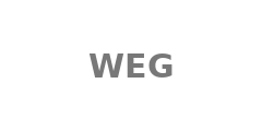 Модуль WEG EN81-20/50