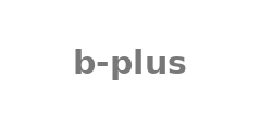 Модуль b-plus B13500-DIMM-001-0002
