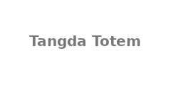 Шкаф серверный Tangda Totem 22U 1.2×1.0×0.6