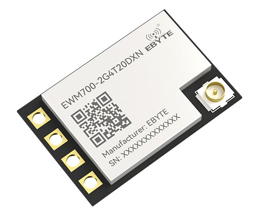 EWM700-2G4T20DXN