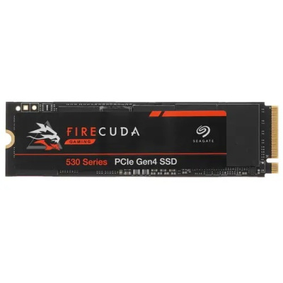 SSD Seagate ZP4000GM3A013