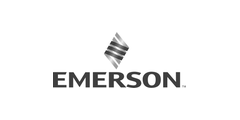 Модуль расширения Emerson IC694CHS398