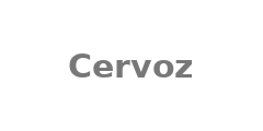 SSD Cervoz T445