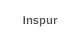 Inspur
