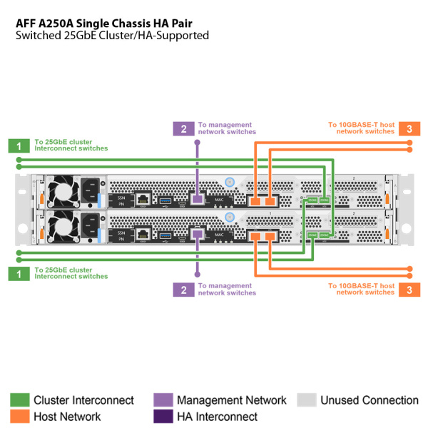 Опция комплектации NetApp AFF-A250