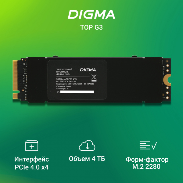 SSD Digma DGST4004TG33T