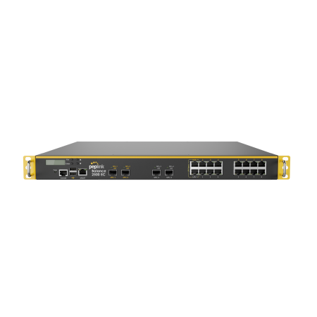 Маршрутизатор Peplink Balance 2500 EC