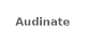 Audinate