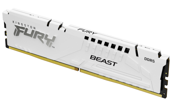 ОЗУ Kingston KF560C36BWE-32